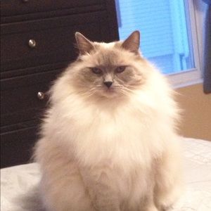 Meet your Posher, Amy